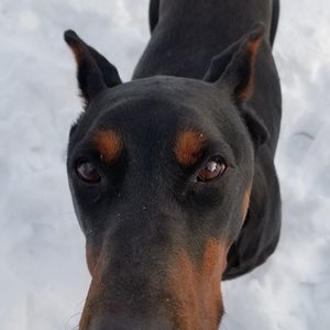 Meet your Posher, Lori